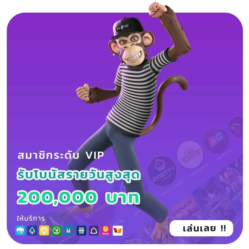 nami 220 wallet